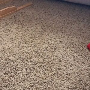 Meet your Posher, Declan